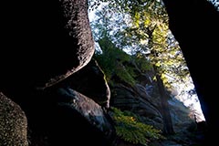 Waldstein - Zum Vergroessern klicken!